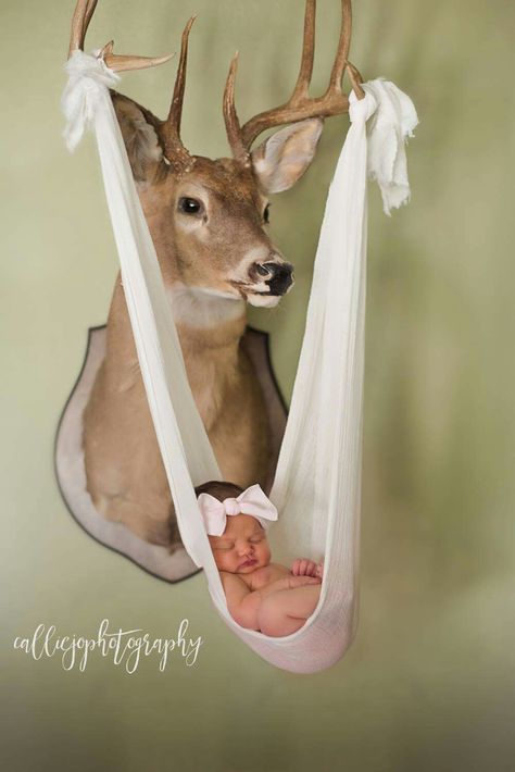 Deer head baby photo Deer Heads, Pregnancy Ideas, Baby Poster, Dream Future, Baby Puree, Baby Shoot, Baby Print, Baby Announcements, Foto Baby