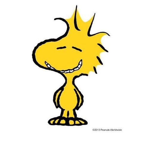 Snoopy's Pal Woodstock Is Actually A Bloodthirsty Cannibal Woodstock Snoopy, Woodstock Peanuts, Peanuts Cartoon, Peanuts Characters, Snoopy Wallpaper, Snoopy Quotes, Snoopy Pictures, Snoop Dog, Snoopy Love