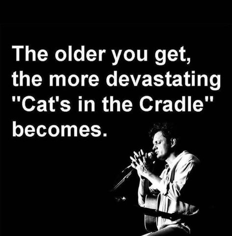 Cats In The Cradle, Love Fiercely, Victim Quotes, Cat Brain, Cats Cradle, Cat With Blue Eyes, The Cradle, Cats For Sale, Music Memes