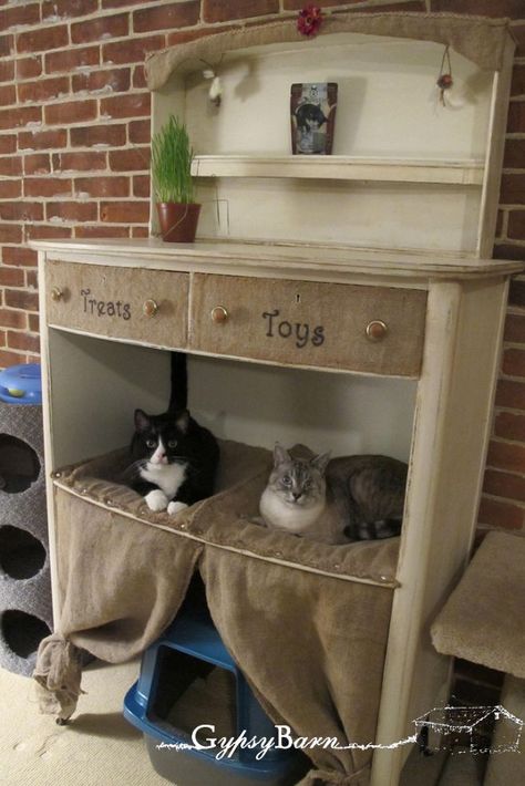 Maybe I should add: Space Savers:  Cat Condo from old Dresser idea    Seriously: If you have cats - you know how expensive Cat condos, trees, furniture etc cost. - so why not DIY Katt Diy, Kitty Ideas, Katt Grejer, Kat Diy, Repurposed Dresser, Cat Run, Söt Katt, Animal Room, Two Cats