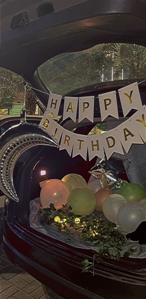 Birthday Celebration In Car Ideas, Outside Birthday, Birthday Songs Video, Cars Birthday Party Decorations, 17 Birthday Cake, Happy Aesthetic, Happy 17th Birthday, Photoshoot Video, Sixteenth Birthday