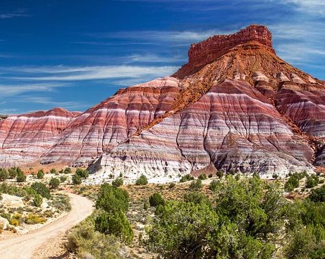 Paria Canyon, Utah Map, Utah Arches, Kanab Utah, Southwest Travel, Longhorn Cattle, Zane Grey, Purple Sage, River Canyon