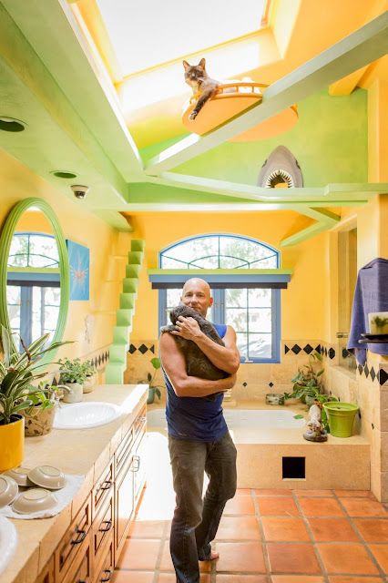 Cat and DOG Chat With Caren: CATIFY TO SATISFY: Simple Solutions for Creating a Cat-Friendly Home by Jackson Galaxy and Kate Benjamin, Enter to Win! Pet Friendly Backyard, Cat Paradise, Cat Area, Cat Bedroom, Jackson Galaxy, Cat Patio, Cat Wall Furniture, Cat House Diy, Cat Sanctuary