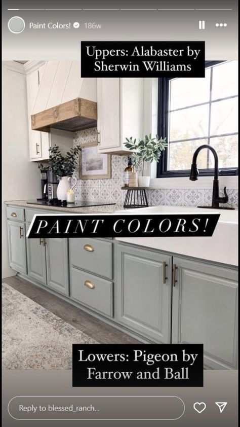 Paint Cabinet, Kitchen Renovation Inspiration, Flip House, Instagram Decor, Diy Easy Recipes, Paint Inspo, Diy Kitchen Renovation, Diy Kitchen Remodel, Kitchen Cabinets Makeover