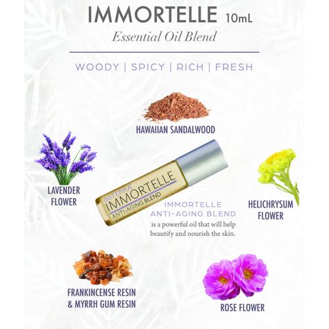 Immortelle Doterra, Doterra Immortelle, Frankincense Resin, Oil Blends, Doterra Essential Oils, Roll On, Essential Oil Blends, Doterra, Oil Blend