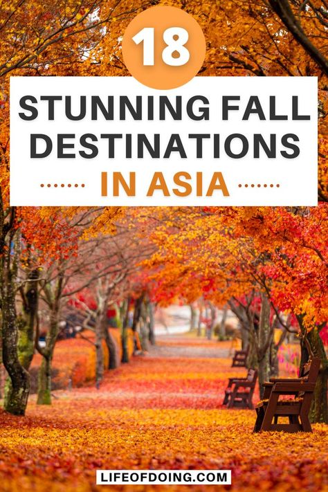 Looking for amazing places to visit in Asia during the fall season? Check out this post on the perfect fall getaway in Asia from Central Asia, Southeast Asia, South Asia, and East Asia. Where to go in Asia in fall season | Asia in fall | Asia in autumn season | Fall destinations in Asia | Fall breaks in Asia | Fall Asia bucket list | Autumn in Asia | Asia travels in fall season #LifeOfDoing Asia Bucket List, Fall Destinations, Travel Cambodia, Autumn Travel, Amazing Places To Visit, Travel China, Asian Travel, China Culture, Visit Asia