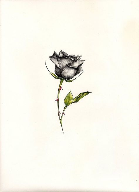 Black rose Black Rose Tattoo, Tiny Flower Tattoos, Tattoos Rose, Small Rose Tattoo, Flower Wrist Tattoos, Black Rose Tattoos, Tattoo Rose, Rose Drawing, Small Rose