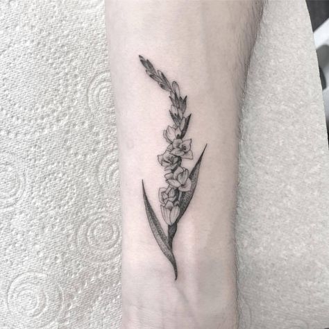 Gladiolas Tattoo, Gladiolus Flower Tattoo, Tarot Tattoos, Gladiolus Flower Tattoos, Tattoo Klein, Gladiolus Tattoo, Daisy Tattoo Designs, Gladiator Tattoo, Unique Tattoos For Women