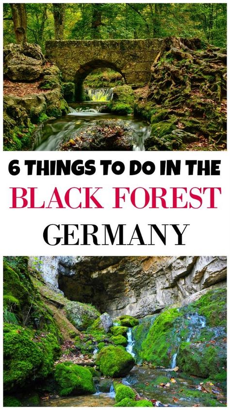 If you’ve booked a trip to the Black Forest, remember it’s not all long walks and beer. Make sure you schedule in some time for unforgettable experiences. Black Forest Vacation, Black Forest In Germany, Black Forest Germany Travel, Black Forest Germany Aesthetic, German Forest, German Black Forest, Germany Travel Destinations, Black Forest Germany, Germany Travel Guide