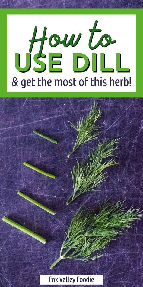 Let's take a look at how to use dill and get the most out of this flavorful herb. Most grocery stores will keep fresh dill in herb packets found in the refrigerated section of the produce department. Look for a bunch of dill that has fresh leaves with a vibrant green color. What To Use Dill For, Using Dill Recipes, Dry Dill How To, Dried Dill Recipes, Cooking With Fresh Dill, How To Dry Fresh Dill, How To Dry Dill Herbs, What To Make With Fresh Dill, Dill Flower Uses