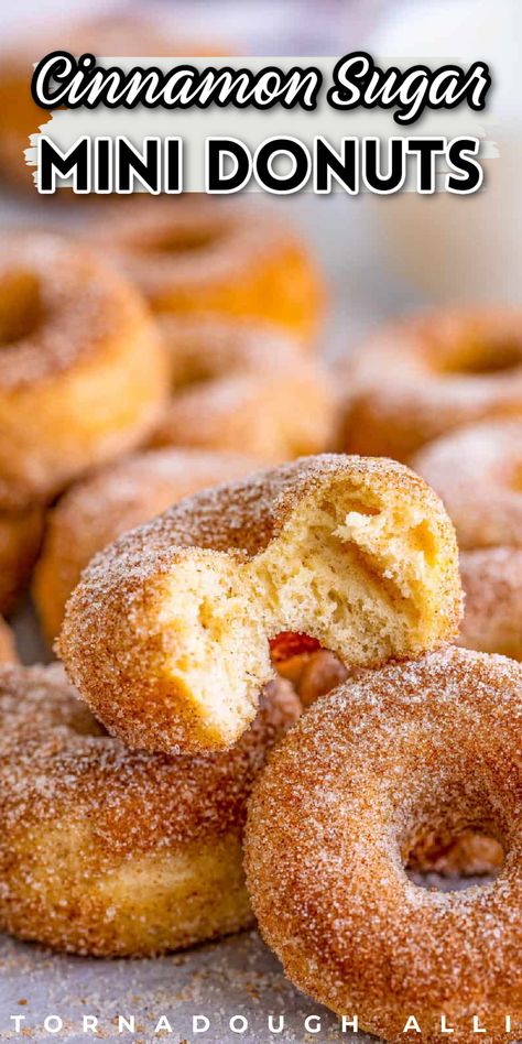 Do Nuts Donut Recipes, Small Donuts Recipe, Dash Donut Recipe, Overnight Donut Recipe, Easy Mini Doughnut Recipes, Mini Doughnuts Recipe, Baked Mini Doughnut Recipes, Homemade Mini Donuts Recipes, Doughnut Recipes Easy