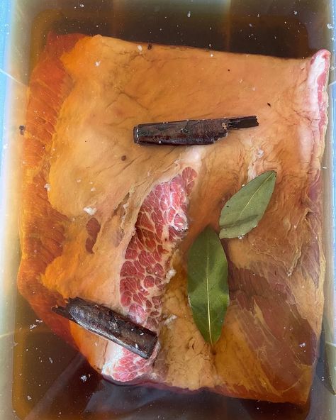 brining pastrami Pastrami Brine Recipe, Beer Brine, How To Make Pastrami, Pastrami Recipe, Meat Injector, Curing Salt, Charcoal Briquettes, Duck Breast, Brisket Recipes