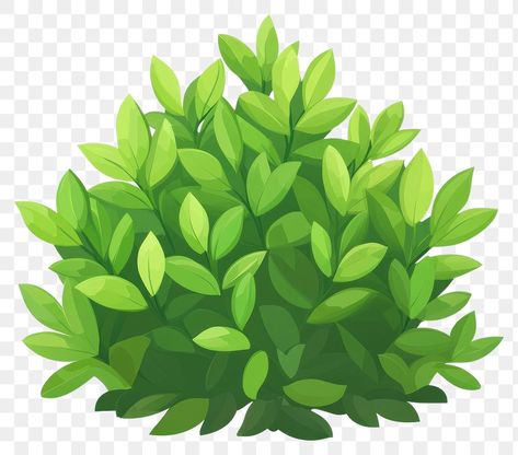 Bush Illustration, Grass Png, Cartoon Grass, Cartoon Png, Botanical Drawings, Plant Illustration, Green Grass, Art Background, Green Plants