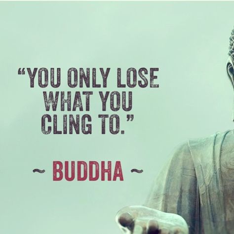 "You only lose what you cling to" .. practice non-attachment Gratitude Day, Buddhist Quotes, Buddha Quote, The Buddha, Buddha Quotes, Yoga Sequences, E Card, A Quote, Simple Living