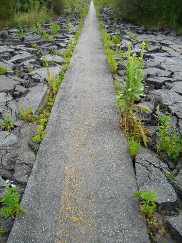 Works - PublicSpace Urban Public Space, Pavement Design, Permeable Paving, Path Ideas, Virginia University, Landscape Model, Urban Nature, Urban Fabric, Community Gardening