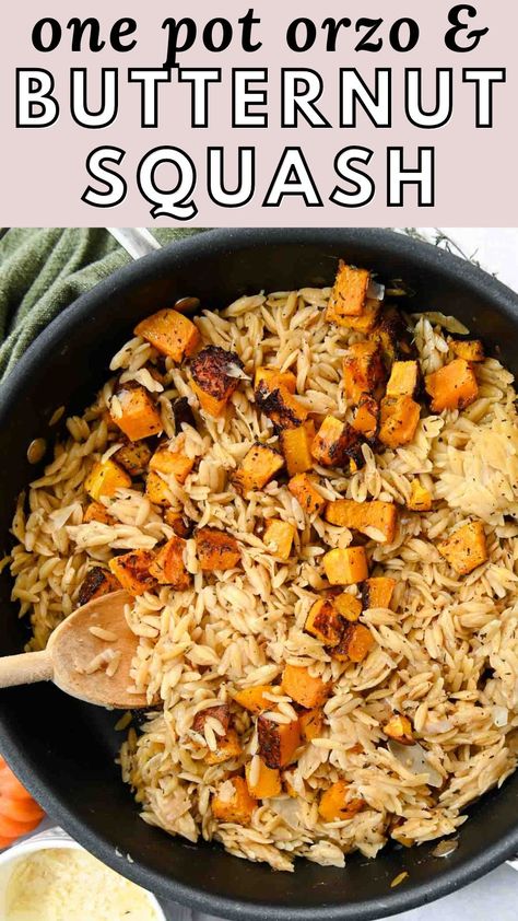 This vegetarian orzo cooks in one pot and is served with roasted butternut squash for a warming fall meal filled with rich and savory flavors. Butternut Squash Orzo With Sausage, Acorn Squash Orzo, Butternut Squash And Orzo Recipes, Butternut Squash Skillet Recipes, Butternut Squash Orzo Recipes, Savory Butternut Squash Recipes, Vegetarian Orzo, Vegetarian Pesto Pasta, Butternut Squash Orzo