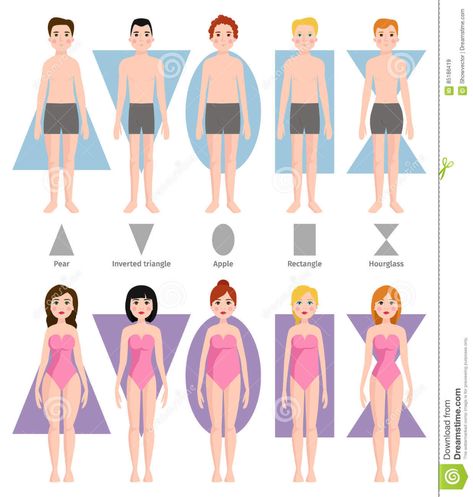 Body Shape Chart, Mens Body Types, Types Of Body Shapes, Body Type Drawing, Shape Chart, Rectangle Body Shape, Cartoon Body, Body Shape Drawing, Body Types Women