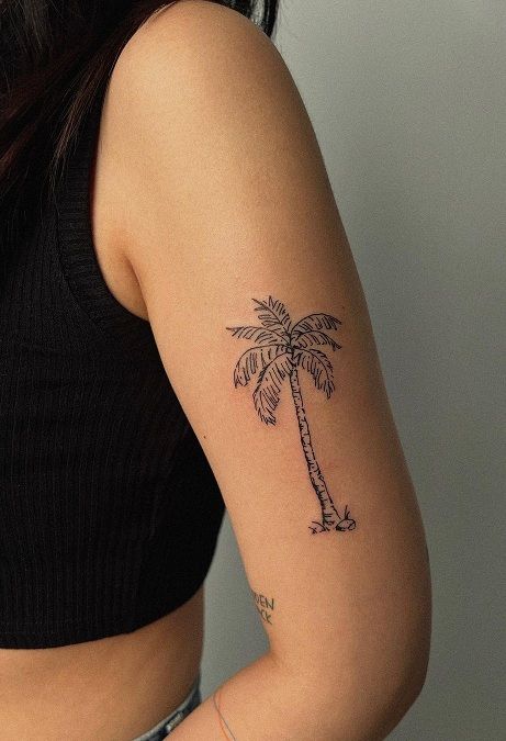 Palm Tree Tattoo Arm Women, Palm Tree Rib Tattoo, Palm Tree Back Tattoo, Palm Tree Stamp Tattoo, Florida Palm Tree Tattoo, Coconut Palm Tree Tattoo, Hip Fine Line Tattoo, Small Palm Tattoo, Palmetto Tree Tattoo