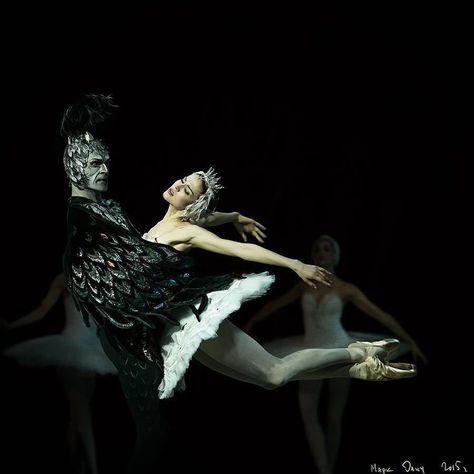 Swan Lake with Alina Somova and Yury Smekalove . Photo by Mark Olich. #SwanLake #AlinaSomova #yurysmekalove #danchanneltv #see#seedance #dctvstudios by dancechanneltv Swan Lake Aesthetic, Christmas Ballerina, La Sylphide, Lake Aesthetic, Swan Lake Ballet, The Firebird, Ballerina Dance, Lake Photos, Ballet Core