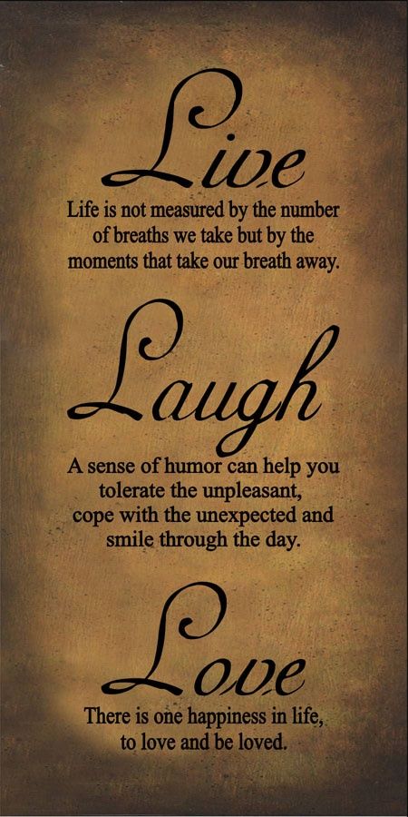 Live Laugh Love Love Live Laugh Quotes, Love Laugh Quotes, Laugh Quotes, Live Laugh Love Quotes, Laughing Quotes, Live Love Laugh, Framed Quotes, Enjoy Today, Live Laugh Love