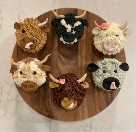 Midnight Mini Cattle Company’s 3 year anniversary cow cupcakes! Special thanks to Julie Skinner & Emily Brinkley for their amazing skills❤️ Highland Cow Cupcakes, Mini Cattle, Cow Birthday Cake, Cow Cupcakes, Cow Birthday Parties, Cow Cakes, Cow Baby Showers, 3 Year Anniversary, Cowboy Baby Shower