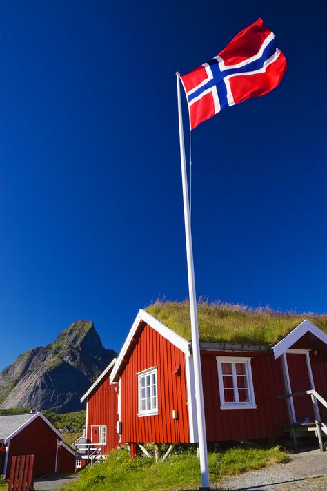 Norwegian Cabin, Norway House, Norway Flag, Norwegian Flag, Beautiful Norway, North Europe, Scandinavian Aesthetic, Nordland, Bergen Norway