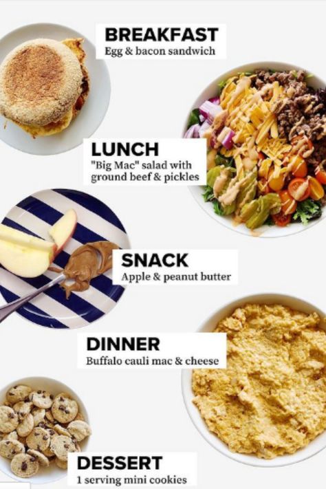 Meal Proportions, Health Recipes For Picky Eaters, Picky Eater Adult Meals, Protein Meals For Picky Eaters, Picky Eater Healthy Meals, College Nutritionist Meal Plan, Easy Healthy Meals For Picky Eaters, College Nutritionist, Healthy Meals For Picky Eaters Adults