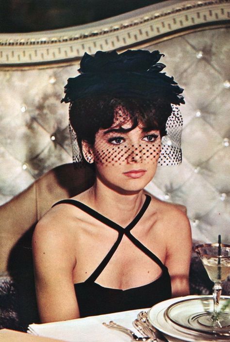 Bob Newhart Show, Troy Donahue, Suzanne Pleshette, Bob Newhart, Connie Stevens, Colourpop Eyeshadow, Sandra Dee, Hair Jewels, Dramatic Classic