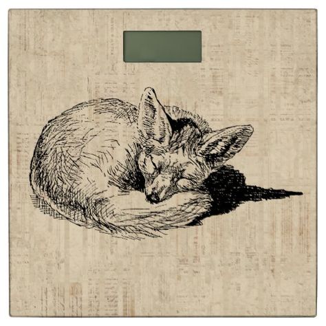 Fox Stencil, Animal Sketchbook, Animal Bathroom, Fox Tattoo Design, Fox Wall Art, Simple Drawings, Wildlife Artwork, Illustrated Art, Vintage Fox