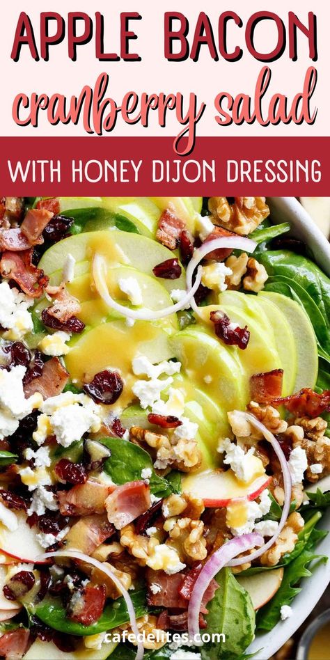 This Apple Bacon Cranberry Salad with Honey Dijon Dressing is the ultimate Fall salad. It starts off with one of my favourite salad dressings, which has the perfect ratio of honey, dijon mustard, apple cider vinegar, and olive oil. This salad is all of your side salad dreams come true. Honey Dijon Apple Bacon Cranberry Salad, Dried Cranberry Salad Recipes, Maple Dijon Apple Crunch Salad, Apple Lettuce Salad, Apple Bacon Salad, Walnut Cranberry Salad, Apple Salad Dressing, Cranberry Walnut Salad, Honey Dijon Dressing