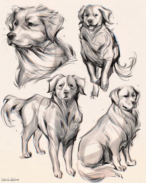 Dog Design Art, Puppy Sketch, Canine Drawing, Human Figure Sketches, Dog Sketch, Creature Drawings, Arte Sketchbook, Animal Sketches, Cross Patterns