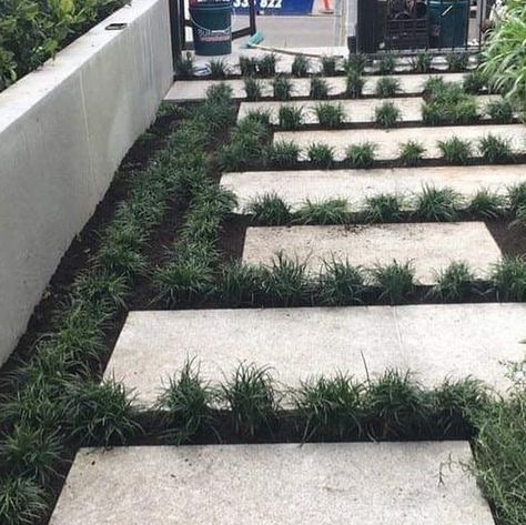 Simon McCurdy Landscapes on Instagram: "A plant out of Mondo grass around the staggered natural stone steppers at our South Yarra project. Swipe 👉 to see where we began. - Once established, this ground cover will spread to cover the soil and hide all remaining gaps in between the pavers 👌" Staggered Stepping Stones, Mondo Grass Between Pavers, Mondo Grass Pavers, Ground Cover Between Pavers, Plants Between Pavers, Mondo Grass Ideas, Mondo Grass Landscaping, Pavers With Grass In Between, Courtyard Inspiration