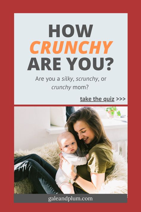 Are you a crunchy mom? Or a silky mom? Or something in between? Find out now with our quick and super fun quiz. #crunchy #semicrunchy #quiz #momlife #motherhood #parenting Crunchy Mom Tips, Really Very Crunchy Mom, Cranberry Quick Bread, Mom Quiz, Motherhood Struggles, Crunchy Mom, Hippie Mom, Crunchy Moms, Mom Life Hacks