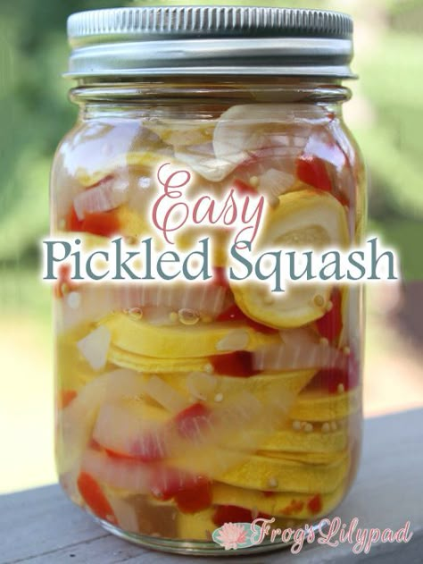 Easy Pickled Squash Recipe frogslilypad.net Pickle Squash Recipes, Squash Pickles Canning Recipe, Refrigerator Squash Pickles, Pickled Yellow Squash Recipes, Squash Pickles Canning, Summer Squash Pickles, Can Squash Recipes, Squash Relish Recipe Yellow, Pickled Squash And Zucchini