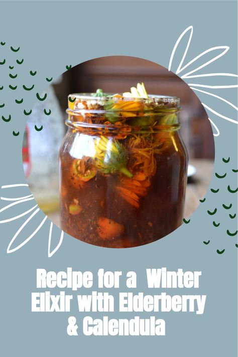 Herbal Kitchen, Aphrodisiac Foods, Herbal Academy, Natural Things, Winter Wellness, Homemade Tea, Winter Tea, Herbal Recipes, Herbal Apothecary