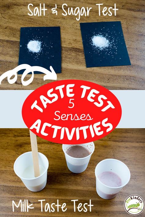 5 Senses: Taste Test Activities 5 Senses Taste Test, Taste Sense, 5 Senses Activities, Senses Preschool, Sense Of Taste, Preschool Crafts Fall, Senses Activities, Toddler Homeschool, Activities For Preschool