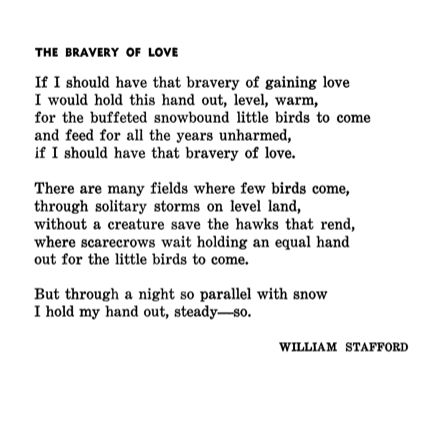 William Stafford Poetry, William Stafford, Beautiful Sayings, White Nights, Poet Quotes, Ice Snow, Quotes About Everything, Poetry Inspiration, Reading List