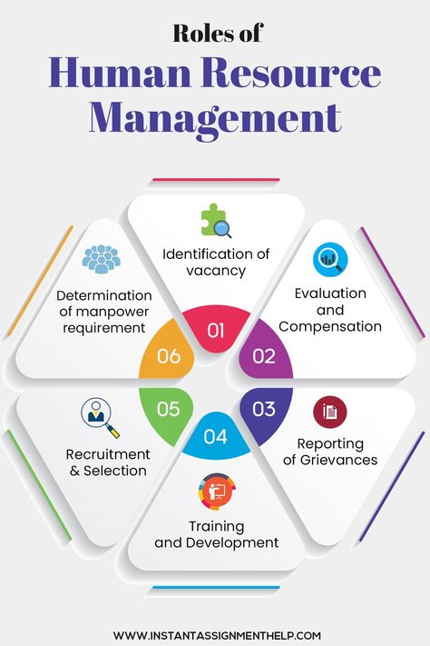 What are the 6 main roles of HRM? Human Resources Career, Human Resources Management, Business Strategy Management, Employee Performance, Hr Jobs, Payroll Software, Human Resource Development, Business Basics, Business Marketing Plan