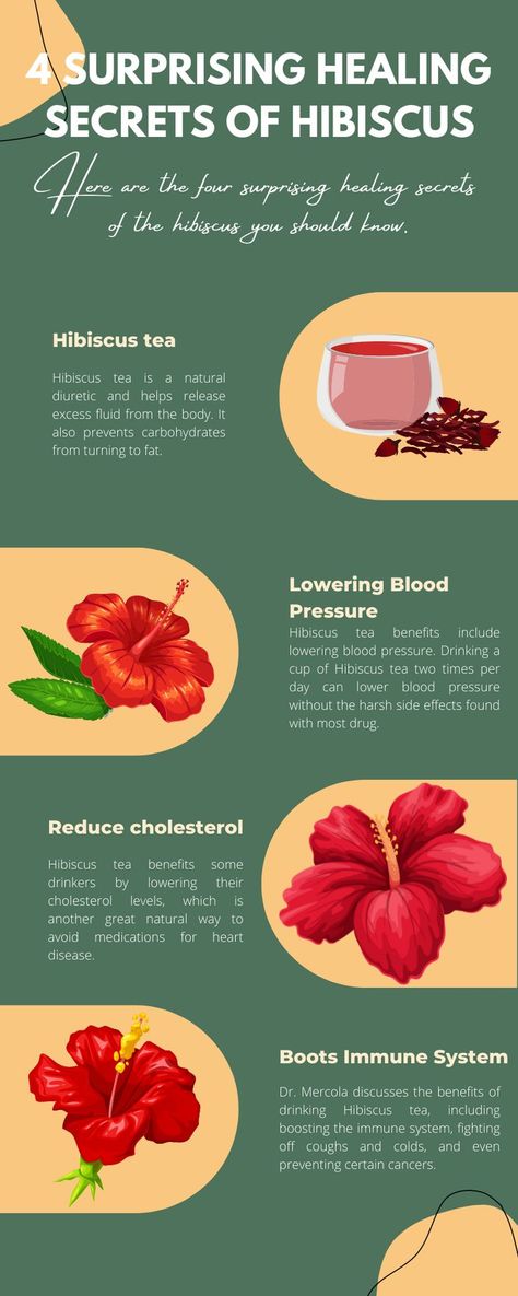 4 Surprising Healing Secrets of Hibiscus Hibiscus Herbal Tea Recipe, Hibiscus Herb Benefits, Diy Hibiscus Tea, Hibiscus Tea Drink Recipes, Raspberry Hibiscus Tea Benefits, Hibiscus Spiritual Benefits, Hibiscus Water Benefits, Hibiscus Benefits Health, Hibiscus Magical Properties