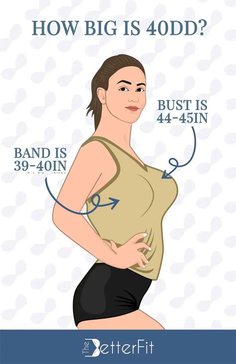 How Big Is a 40DD Bra Cup Size? | TheBetterFit 30d Bra, Dd Bra Size, Breast Sizes Chart, Aubrey O'day, Mikasa Anime, Bra Cup Size, Big Bra, Wonder Bra, Bra Cup Sizes