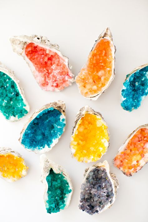 MAKE RAINBOW CRYSTAL SHELL BOWLS Frozen Banana Pops, Shell Bowls, Borax Crystals, Hello Wonderful, Crystal Seashells, Oyster Shell Crafts, Oyster Shells, Family Crafts, Rainbow Crystal