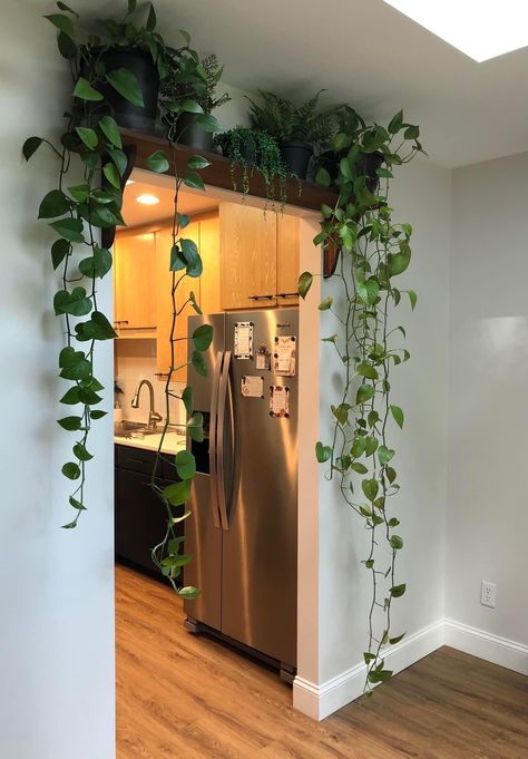 Plant Apartment Decor, Plant Apartment, Fake Plants, Apartment Living, Apartment Decor, Ivy, Sweet Home, Dining Room, Apartment