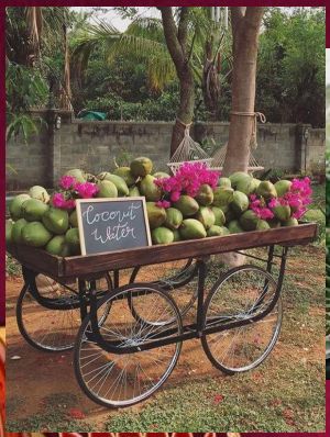 tender coconut water stand Coconut Station Wedding, South Indian Haldi Decoration, Indian Wedding Fun Ideas, Mehendi Stall Ideas, Indian Wedding Decor Simple, Fun Indian Wedding Ideas, Green Mehndi Decor, Fruits Decoration Ideas For Wedding, Indian Wedding Food Station