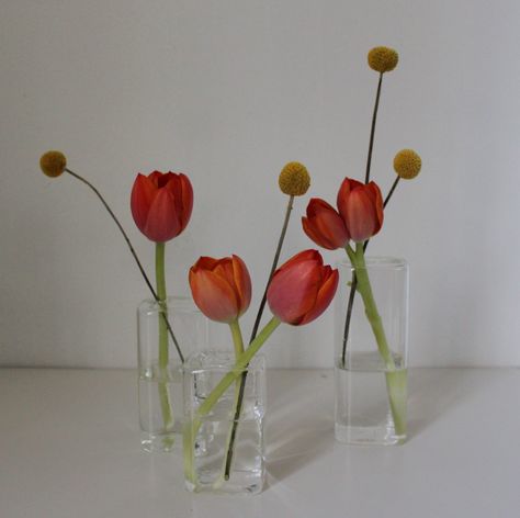 architectural bud vases with tulips and craspidia. Tulips In Bud Vases, Tulips Vase Aesthetic, Tulip Theme Party, Tulips Wedding Decor, Tulip Wedding Theme, Tulip Centerpieces Wedding, Wedding Reception Decorations Lights, Tulip Bud Vase, Evergreen Decor