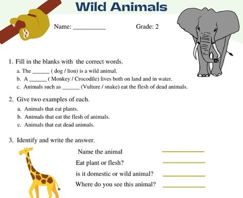 Wild animals worksheets for grade 2 Evs Worksheets For Grade 2 Animals, Evs Worksheet, Nutrition In Plants, Worksheets For Grade 2, Animal Types, Back To School Images, Animals Worksheet, Articles Worksheet, Abacus Math