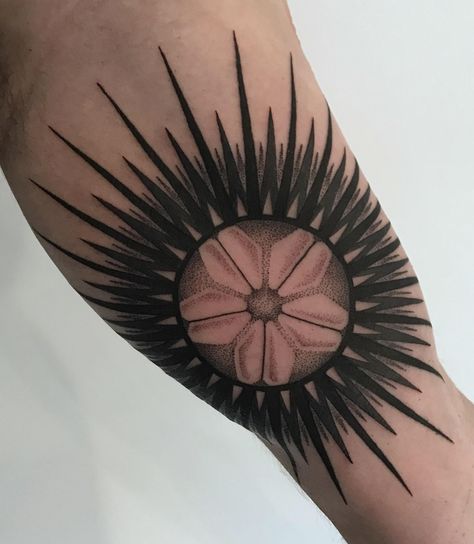 Sea urchin by Cats at 2Spirit Tattoo Los Angeles Sea Urchin Tattoo, 2spirit Tattoo, Japanese Tattoo Sleeve, Urchin Shell, Shell Tattoos, Chain Tattoo, Sea Urchin Shell, Tattoos Inspiration, Im Fabulous