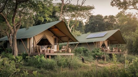 Jungle Safari Tents for Adventure | Supplier & Manufacturer Boho Glamping Tent, Boho Glamping, Pvc Tent, Arabian Tent, Moroccan Tent, Army Tent, Swiss Cottage, Glamping Tents, Glamping Tent