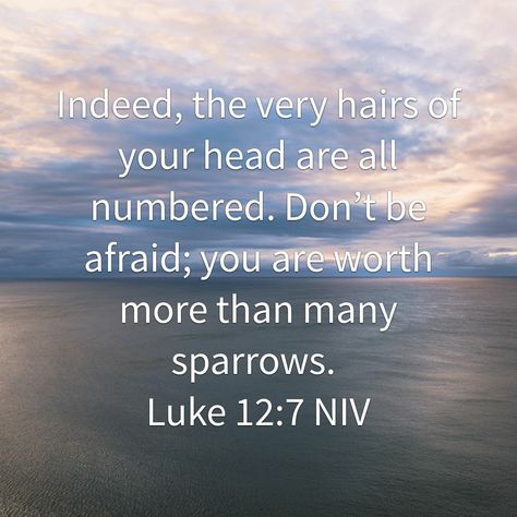 Luke 12:7 Luke 12, Dont Be Afraid, Scripture Verses, Verses