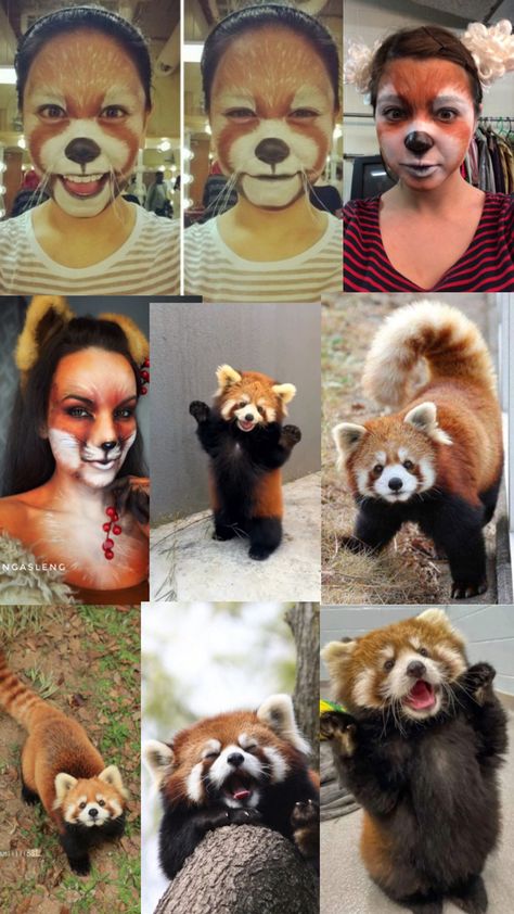 Red Panda Makeup Halloween, Red Panda Face Paint, Red Panda Makeup, Red Panda Costume, Panda Face Paint, Panda Makeup, Panda Costume, Panda Costumes, Panda Face