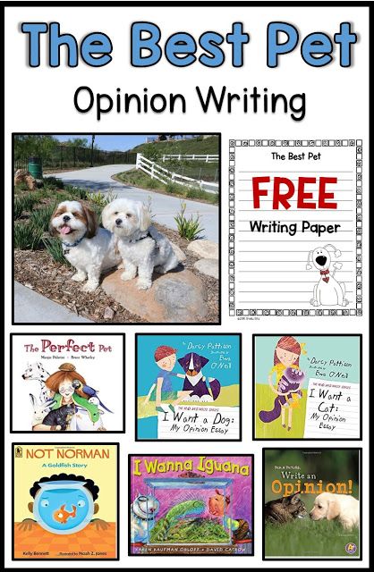 Opinion writing about The Best Pet. I like all the mentor texts. Opinion Writing Grade 2, Opinion Writing Second Grade, Opinion Writing Mentor Text, Teaching Opinion Writing, Writing Mentor Texts, Opinion Writing Activities, Persuasive Text, Explanation Writing, Free Writing Paper